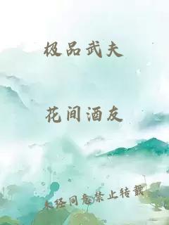 極品武夫